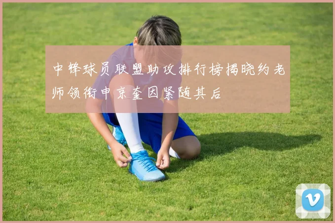 中锋球员联盟助攻排行榜揭晓约老师领衔申京奎因紧随其后